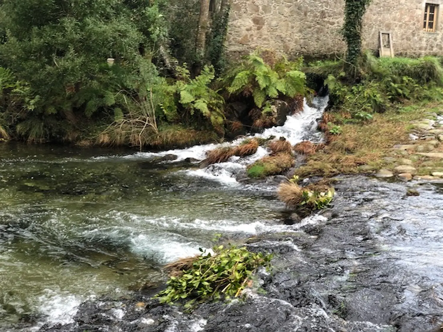 Wasserstelle 5-10 Gehminuten Rio Âncora
